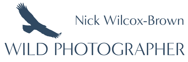 WildPhotographer Home