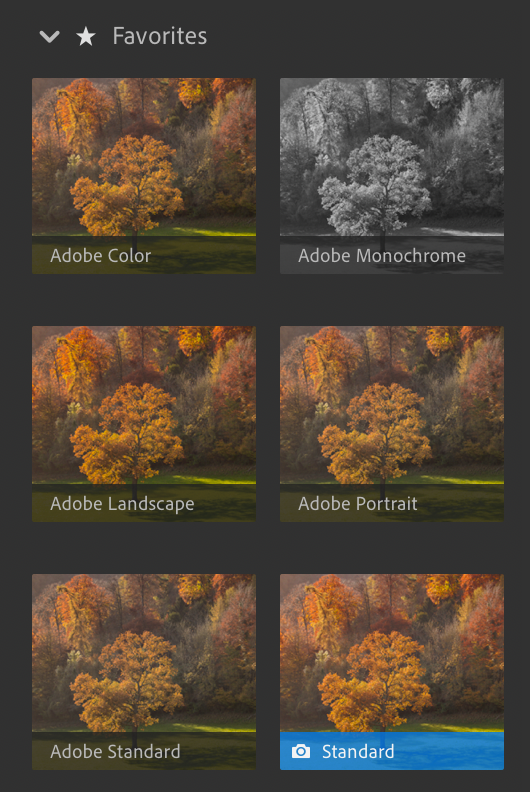 Adobe Camer Profiles