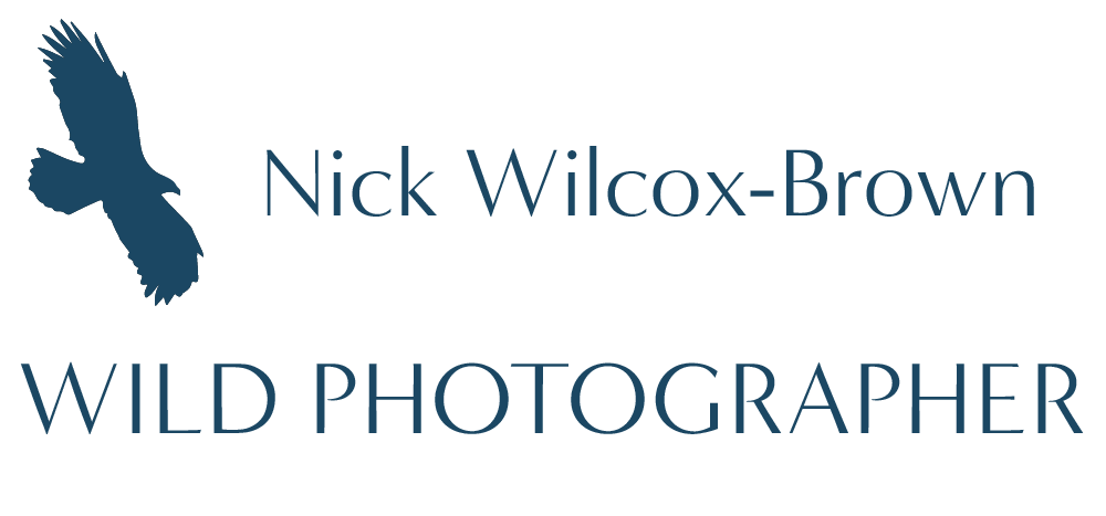 WildPhotographer Nick Wilcox-Brown