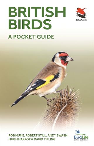 Scottish Birds Book