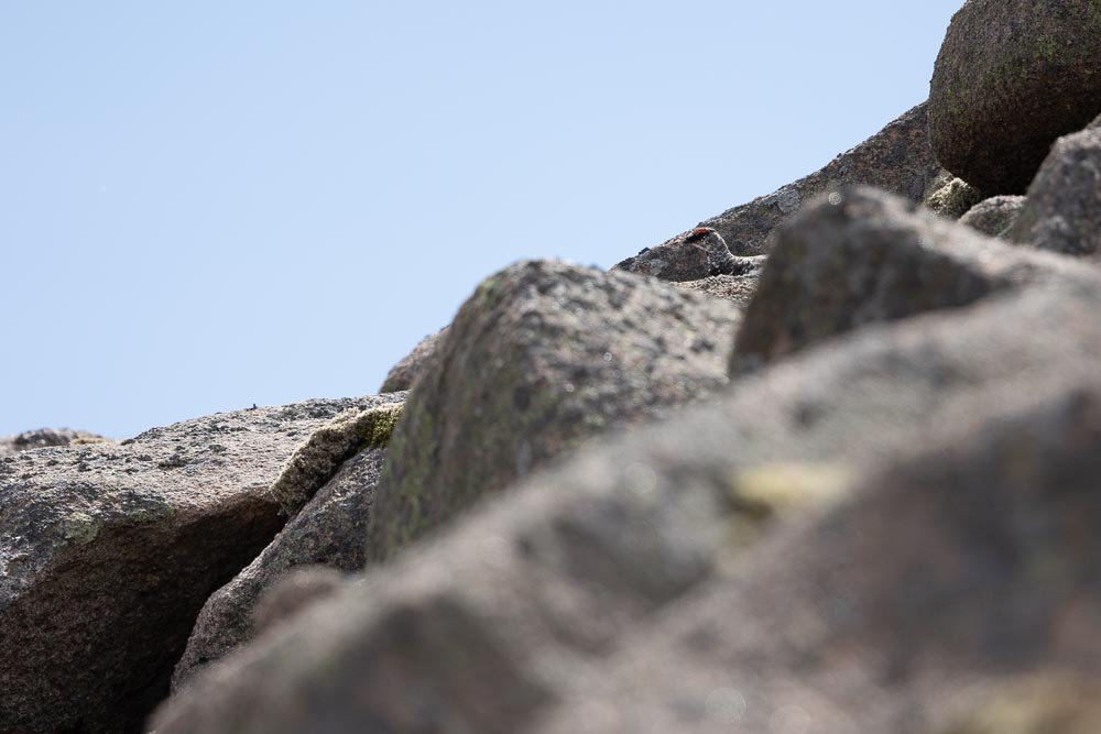 Stacks Image 654